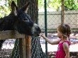 Ubytovanie Slovensky raj - ZOO-Spisska Nova Ves